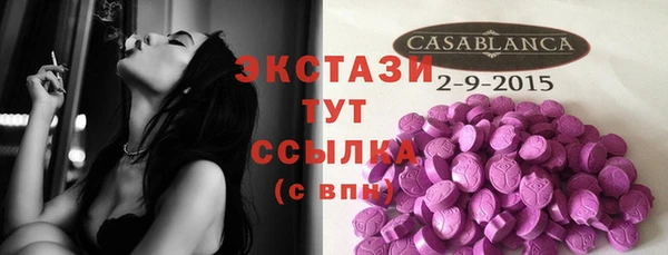 молекула духа Арсеньев
