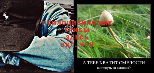 эйфоретик Аркадак