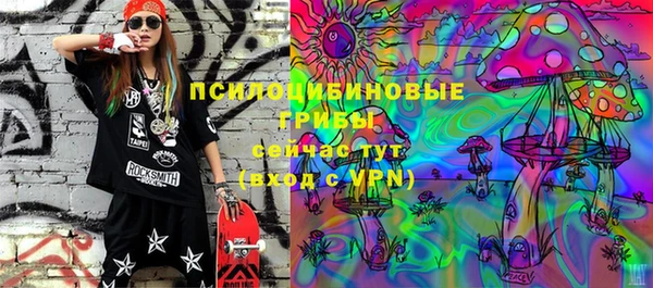 молекула духа Арсеньев