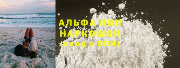 молекула духа Арсеньев