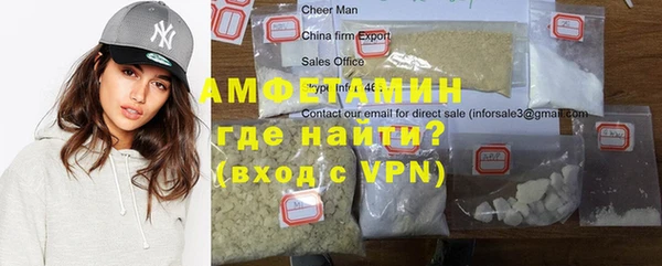молекула духа Арсеньев