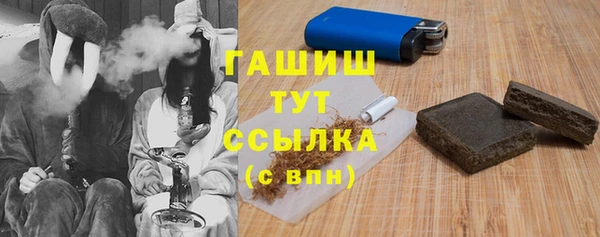 молекула духа Арсеньев