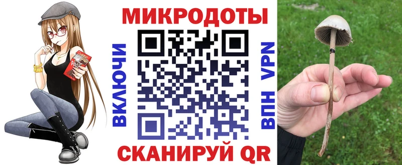 Галлюциногенные грибы Psilocybe  Оханск 
